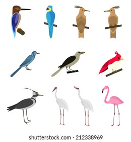 Set of beautiful birds on a white background