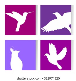 Set of beautiful birds. Vector illustration in minimasism style