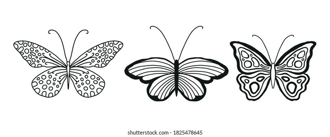 Set of beautiful black and white drawing butterflies on a white background isolated. Graceful insects with beautiful speckled wings, trendy animal print, vector illustration for your beauty industry