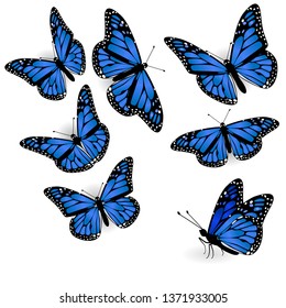 Conjunto de hermosas mariposas azules. Vector.