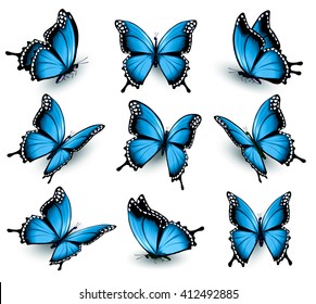 Set of beautiful blue butterflies. Vector.