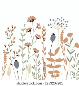 Conjunto de hermosas ilustraciones de vectores de flores de medusas botánicas con floral floreciente sobre fondo blanco