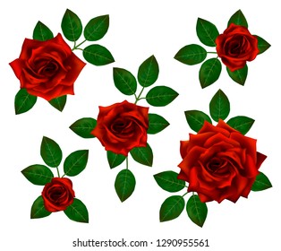 Set of beautiful bouquets with red roses and leaves. Floral arrangement for decoration, perfect for weddimg invitation, birthday, Valentines Day, mother s day.