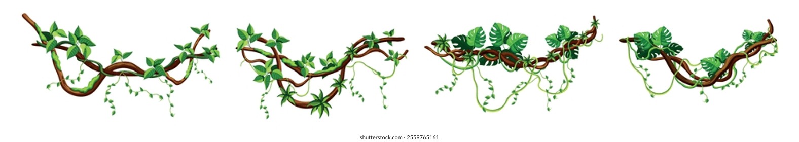 Set of beautiful branches with tropical vines in cartoon style. Vector illustration of various twisted branches with vines, moss, climbing plants, leaves, monstera isolated on white background.