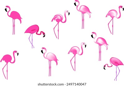 A set of beautiful bright pink flamingos in different poses. Pink flamingo on a white and transparent background isolated. Flamingos from fairyland. Vector illustration