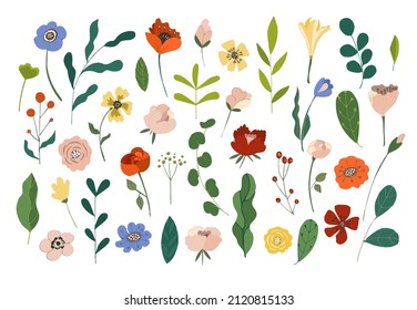 Set of beautiful bright spring and summer floral elements: colorful flowers, green leaves, berries. For wedding poster, Womens Day 8 of March and Valentines day, kids holiday. Vector illustration.