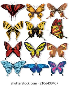 Conjunto de hermosas mariposas, diferentes tipos, diferentes colores