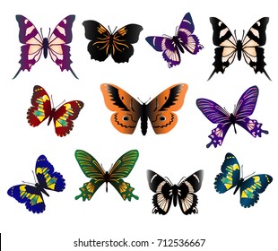 Set of beautiful butterflies, different types, different colors, isolated on white background