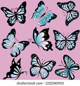set of beautiful butterflies, insects, vector