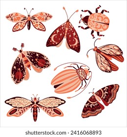 Conjunto de hermosas mariposas y otros insectos. insecto de libélula. Insectos decorativos estilizados con un patrón botánico en las alas. Alas de escarabajo. Ilustración vectorial en un fondo blanco.