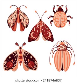 Set of beautiful butterflies and other insects. Dragonfly insect. Decorative stylized insect with a botanical pattern on the wings. Beetle wings. Vector illustration on a white background.