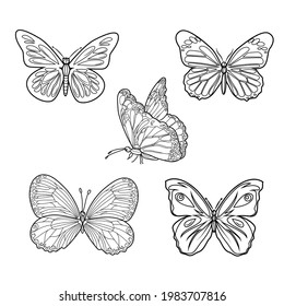set of beautiful butterflies with a pattern for coloring