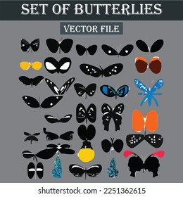 Set of beautiful butterflies vector file