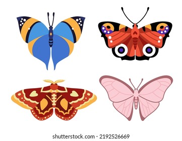 Set of beautiful butterflies. Vector insects isolated on white background