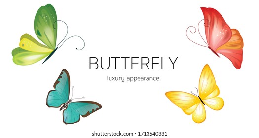 Set of Beautiful butterfly on the white background. Butterfly logo template. Vector illustration.eps