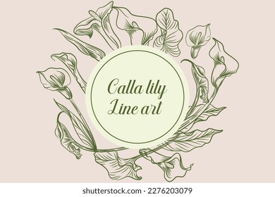 Set of Beautiful Calla Lily Flower Line Art Illustration