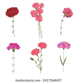 Set of beautiful carnations on white background