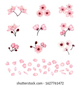 Set of beautiful cherry blossoms isolated on a white background. Collection of pink cherry trees or Apple trees, Japanese cherry trees. Floral design elements. Vector