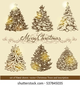 Set of beautiful Christmas ornaments. To create holiday cards, backgrounds, ornaments and decoration