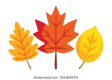 Set of Beautiful Colored Autumn Leaves in Cartoon Style.A vibrant and colorful collection of autumn leaves in a playful cartoon style, perfect for seasonal designs, fall-themed graphics, or educationa