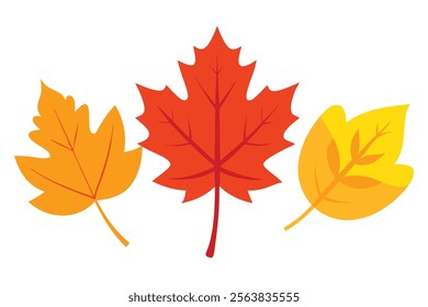 Set of Beautiful Colored Autumn Leaves in Cartoon Style.A vibrant and colorful collection of autumn leaves in a playful cartoon style, perfect for seasonal designs, fall-themed graphics, or educationa