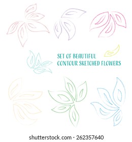 Set of beautiful colored contour sketched orchid flowers