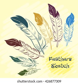 Set of beautiful colored feathers. Sketch feathers. Vector illustration