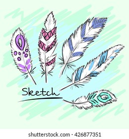Set of beautiful colored feathers. Sketch feathers. Vector illustration