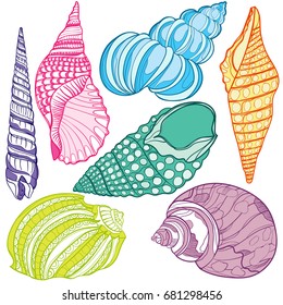 Set with beautiful colored seashells for your design.