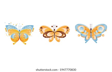 Set of Beautiful Colorful Butterflies, Flying Insects Cartoon Vector Illustration