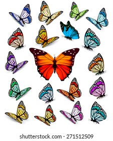 Set of beautiful colorful butterflies. Vector.