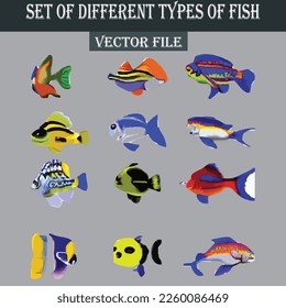 Set of beautiful and colorful fishes vector file
