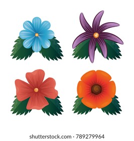 set of beautiful colorful flowers 