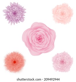 Set of beautiful colorful flowers, floral collection, vector illustration, set 1