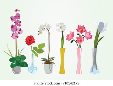 Set of beautiful colorful flowers in vases vector illustration