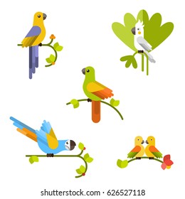 Conjunto de hermosos loros coloridos. Ilustración plana del vector