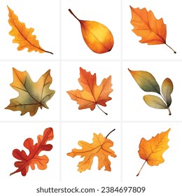 Set of beautiful colorful watercolor autumn leaves or maple leaves