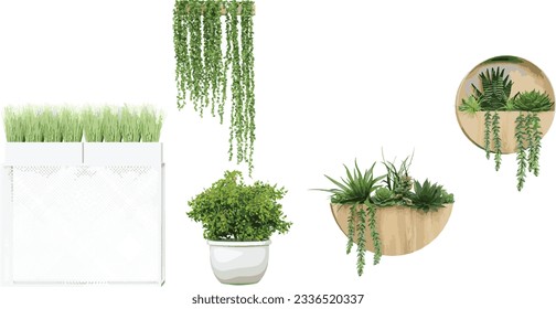 Conjunto de hermosas lianas, plantas en maceta de malla metálica, colgadas en macetas de madera aisladas en fondo transparente, renderización 3D, para ilustración, composición digital y visualización de arquitectura