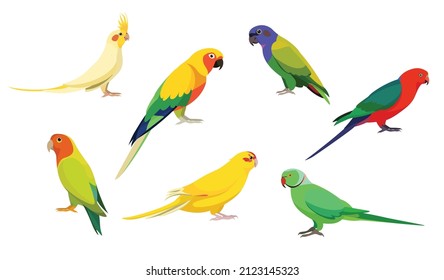 Set of beautiful and cute birds of paradise on white background. Vector parrots cockatiel, solar aratinga, pionus, royal parrot, necklace, kakariki and lovebird in cartoon style.