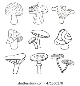 Set of beautiful cute cartoon contoured mushrooms isolated on white background. 
