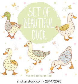 Set of beautiful and cute cartoon ducks on white background
