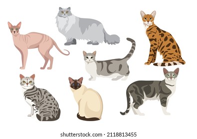 Set of beautiful and cute cats on white background. Vector sphynx, british longhair, havana, munchkin, australian mist, balinese and american shorthair in cartoon style.