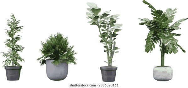 Set of Beautiful Cut-Out Plant Photos Isolated Greenery cutout transparency backgrounds 3d illustration png