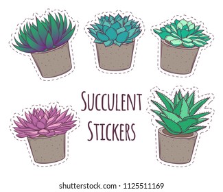 Set with a beautiful cutout succulents in concrete pots. Cartoon vector isolated on white. EPS10