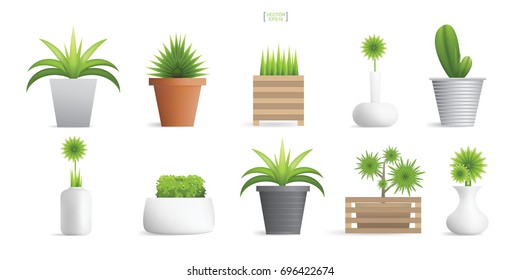 Set of beautiful decoration plants in flower pot. Vector natural object idea for interior design and decoration.