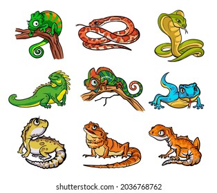 Set with beautiful different cartoon reptiles,snakesand lizards. Collection with reptiles,snakes hand drawn illustration. Design for wallpapers, packaging, postcards and posters. Wild nature.Isolated