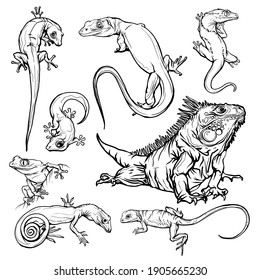 Set with beautiful different reptiles and lizards. Reptiles coloring page, hand drawn illustration. Design for wallpapers, packaging, postcards and posters. Black and white. Wild nature. Isolated