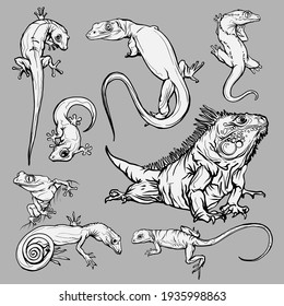 Set with beautiful different reptiles and lizards. Reptiles coloring page, hand drawn illustration. Design for wallpapers, packaging, postcards and posters. Black and white. Wild nature. Isolated