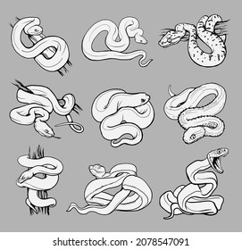Set with beautiful different snakes. Collection reptiles, snakes,viper, boa,python,cobra coloring page, hand drawn illustration. Black and white. Wild nature. Isolated