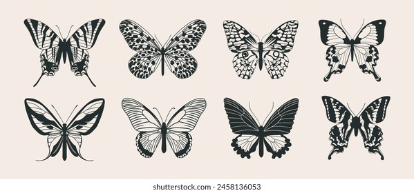 Conjunto de hermosas mariposas exóticas. Colección de ilustraciones vintage dibujadas a mano de polillas, vista superior. Elegantes insectos exóticos monocromáticos con antenas.